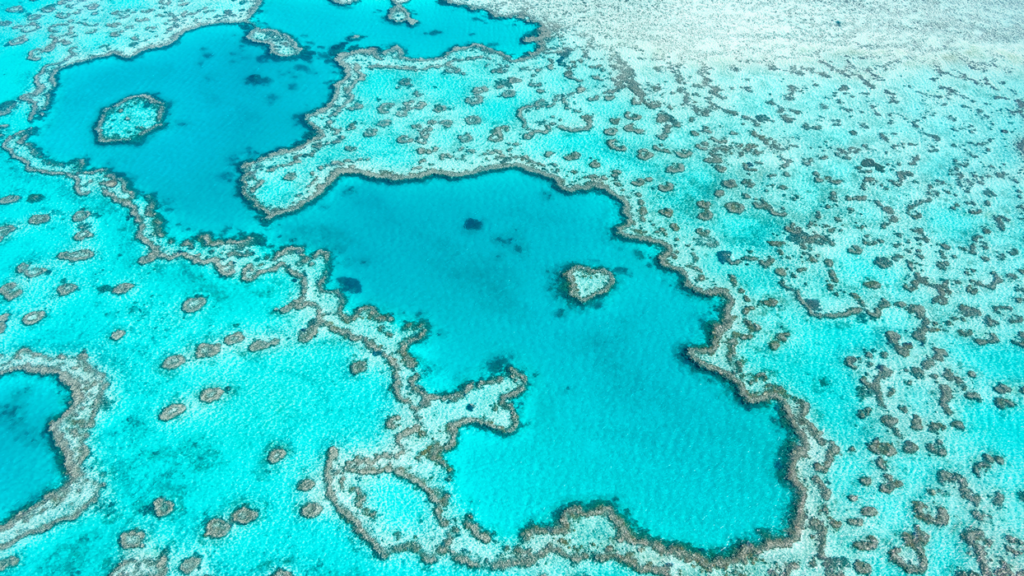 Aerial view of Great Barrier Reef in Whitsunday's Queensland, Australia