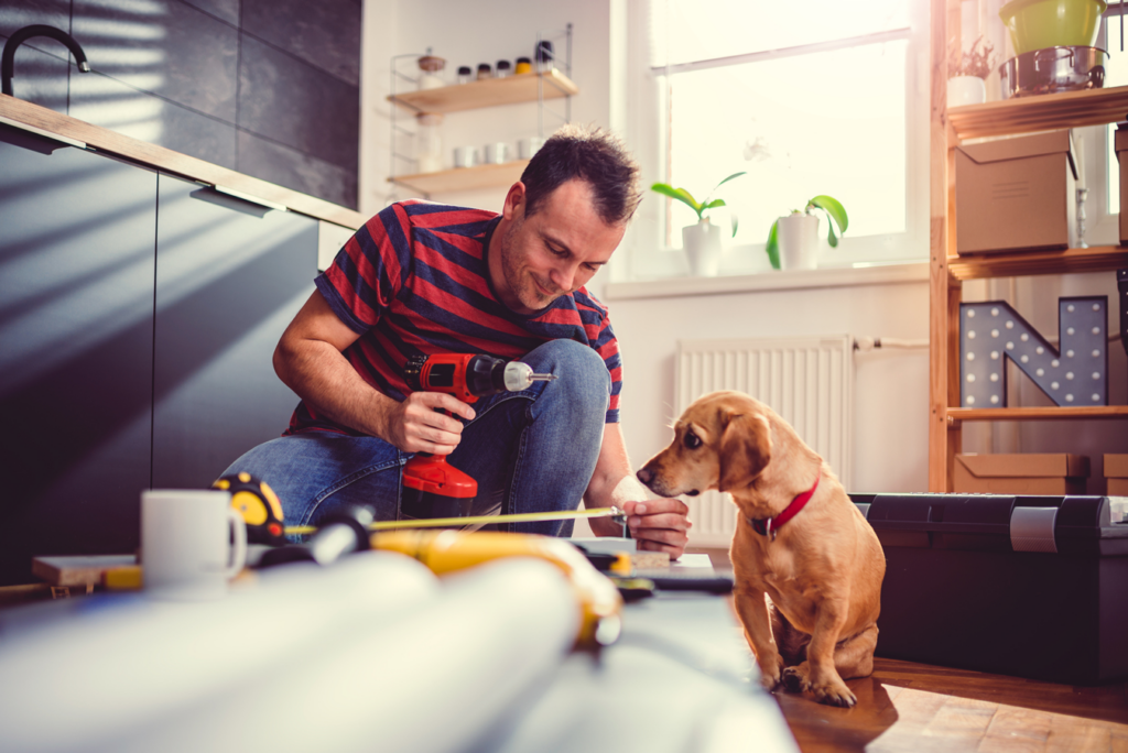 A man uses a drill while working on a dog, showcasing a unique approach to pet grooming or care.